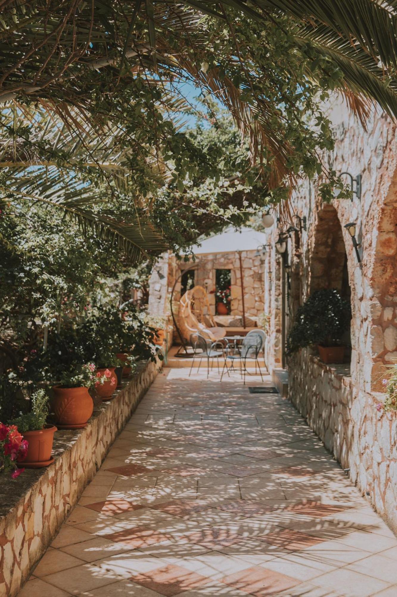 Creta Vitalis كالاثاس المظهر الخارجي الصورة