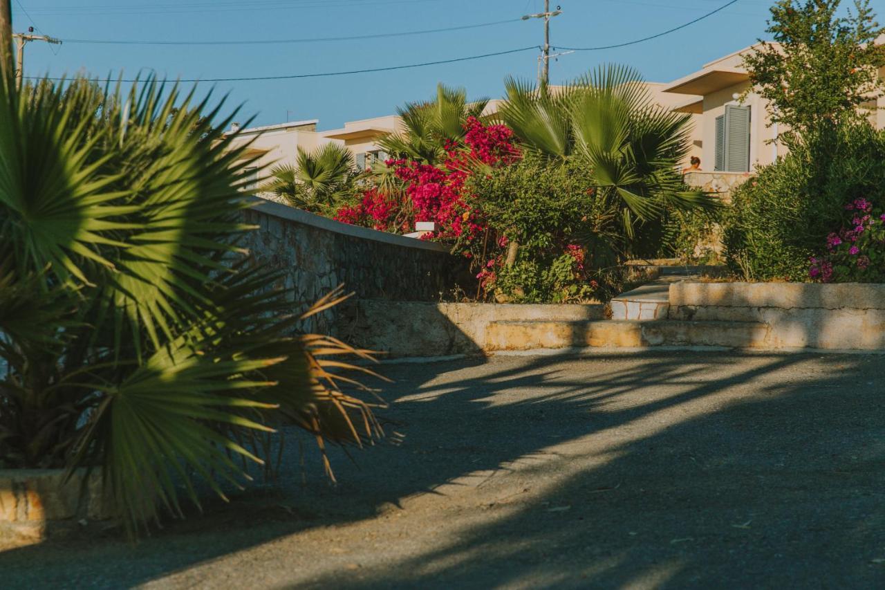 Creta Vitalis كالاثاس المظهر الخارجي الصورة