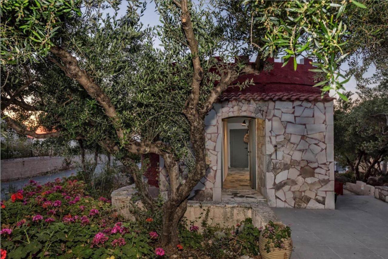 Creta Vitalis كالاثاس المظهر الخارجي الصورة